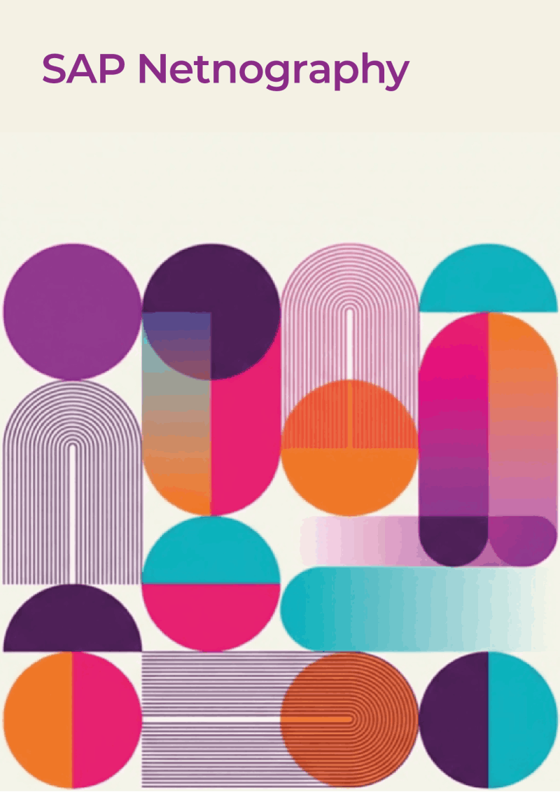 Cover of SAP Netnography
